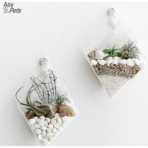 LanLan Creative Wall-Hanging Glass Vase for Hydroponic Plants Home Office Decoration Gift -25