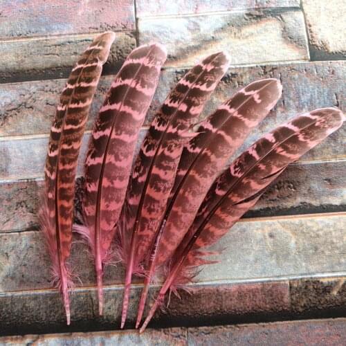 Wholesale 10Pcs Beautiful Pink 10-15cm/4-6inches Natural Pheasant Feathers DIY Jewelry Christmas Holiday Decoration