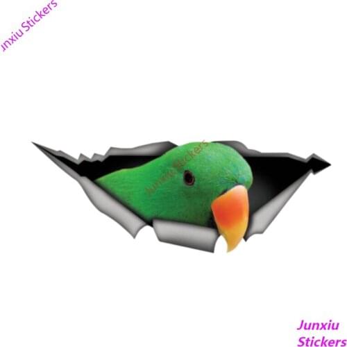 Personality Eclectus Roratus 3D Car Sticker Vinyl Waterproof Car Window Accessories Decorative Boot Art Pattern PVC 13cm X 5cm