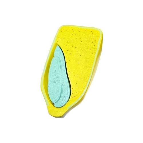 Maize kernel anatomical model junior and high school biology plant model science and education instrument teaching demonstration