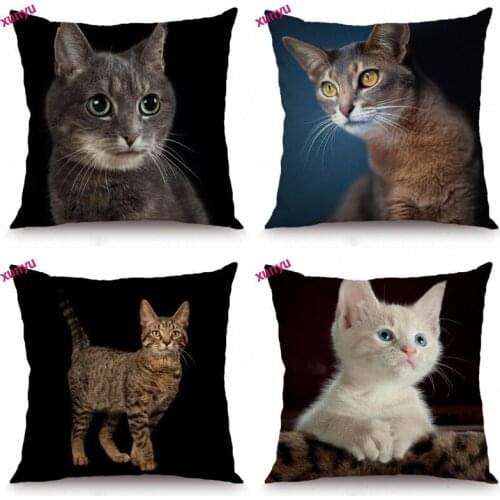 XUNYU Pet Cat Cushion Cover Animal Pillow Case Kids Room Decorative Throw Pillow Cover for Sofa Bedroom 45x45cm BT024