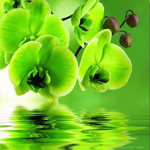 Drill Square/Round 5D Diy Diamond Embroidery Green Flowers Diamond Painting Cross Stitch Diamond Mosaic Needlework Home Decor