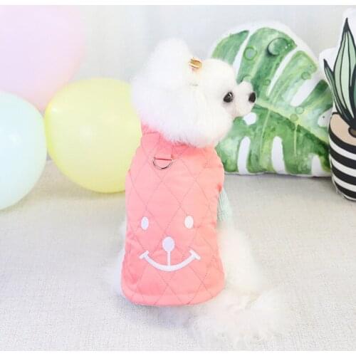 Kawaii Pet Clothing Smile Clothes for Dog Cartoon Small Costume Parkas Print Dogs Autumn Winter Fashion Colorful Girl Mascotas