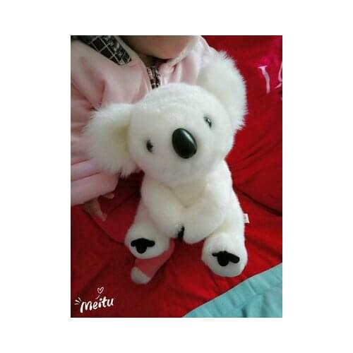 Cute plush white koala toy high quality soft koala doll birthday gift about 30cm 2796