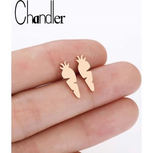 Chandler Stainless Steel Small Carrot Earring For Women Gold Color Vegetable Boho Cool Piercing Metal Stud Earring Drop Shipping