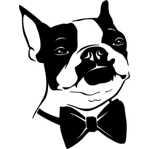 15*20.3CM Bow Tie Boston Terrier Dog Vinyl Decal Funny Car Stickers Car Styling Truck Accessories Black/Silver S1-1061