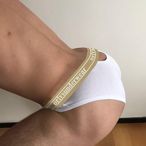 New Sexy Underwear Men Briefs Cotton Hollow Out Back Man Underpants Gay Low Rise Mens Panties Slip Homme Breathable OR6106