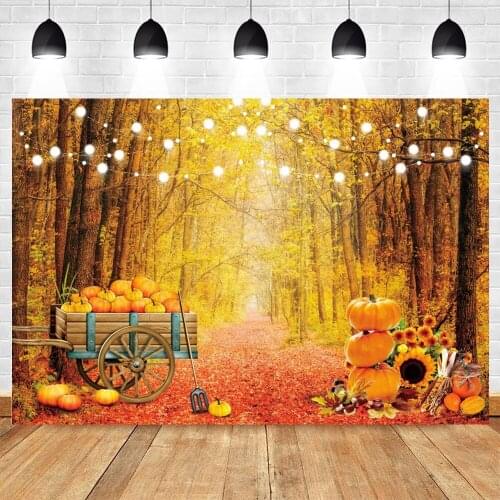 Yeele Autumn Backdrop Prop Photography Maple Forest Glitter Pumpkin Baby Portrait Birthday Background Photographic Photo Studio