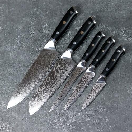 JUNSHENG 67-layer Damascus Steel Kitchen Knife 5 Piece Chef Knife Set G10 Plum Blossom Rivet Multifunctional Fruit Knife