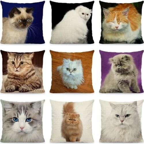 XUNYU Cute Persian Cat Cushion Cover 45x45 Throw Pillow Case Home Decoration Sofa Decorative Pillowcase DWM003