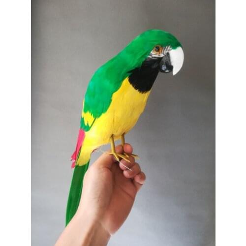 Large 42cm real life Bird colourful feathers parrot bird garden decoration prop decoration toy gift h1059