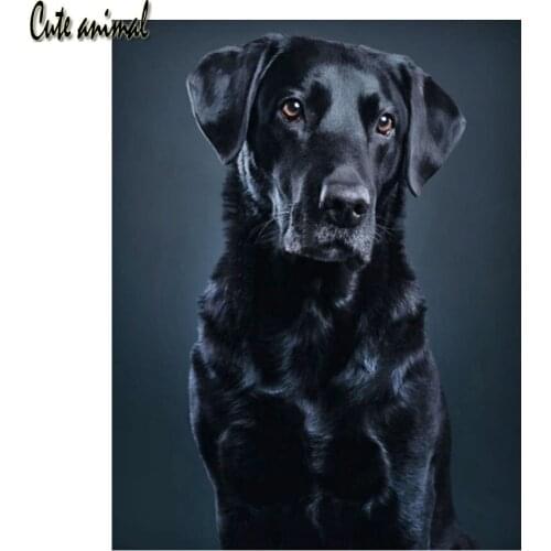 5D DIY Diamond Painting Black Labrador Diamond Embroidery Full Square Drill Cross Stitch Pet Dog Needlework Rhinestone Mosaic