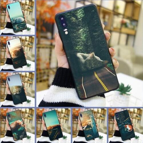 Case For Huawei P8 P9 Lite Mini 2017 Silicone City Cat Cute Back Cover For Huawei P20 Lite Pro P9 P10 Plus P Smart Phone Case