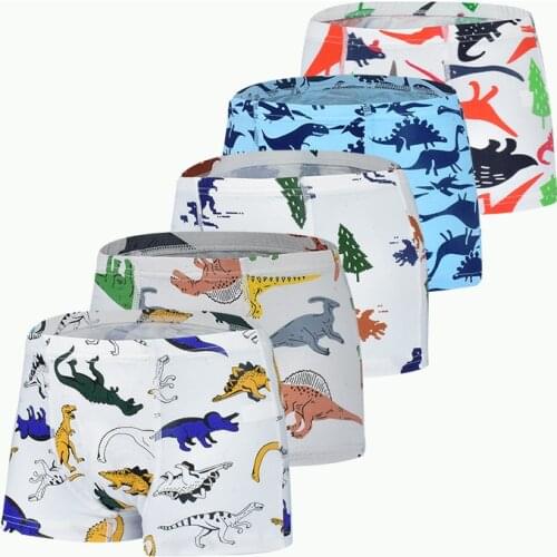 FIXSYS Underwear For Boys