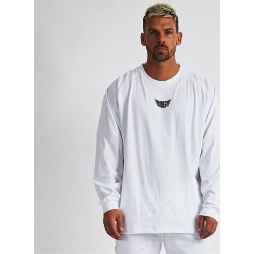 Autumn Fashion T Shirts Men Loose Casual T Shirt Cotton Oversized Tshirt Hip-hop Streetwear Gym Fitness Sporting Clothing