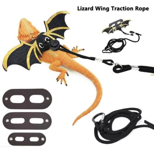 Lizard Traction Rope Reptile Bearded Dragon Harness Leather Leash with Wing Pet Suppiles
