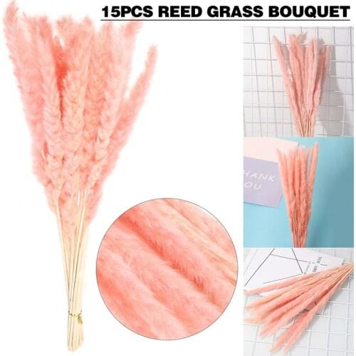 15pcs Home Wedding Decor Bunch Pink Pampas Reed Grass Dried Flower Bouquet Tabletop Decoration Shooting Props