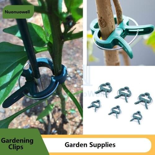 10/20PCS Two Size Gardening Plants Orchid Clip Flower Fixed Bracket Parts Vine Climbing Plant Clamps Grape Branches Holder