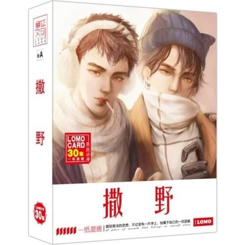 30 Sheets/Set Sa Ye Novel LOMO Card Animation Greeting Card Message Card Hot Stamping Box