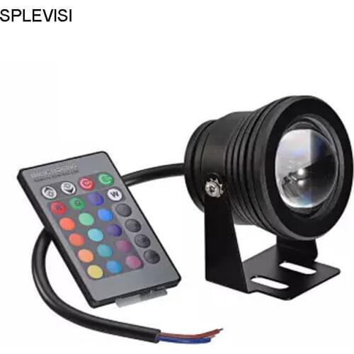 IP65 Watrproof Dimmer 10W RGB LED spot light 12V Garden Square Yard Flood Lamp With IR Remote