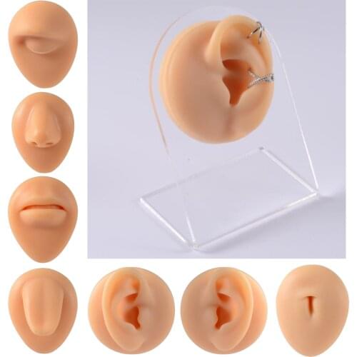 Human Body Part Model Soft Feelings Silicone Modeling for Office Demonstration
