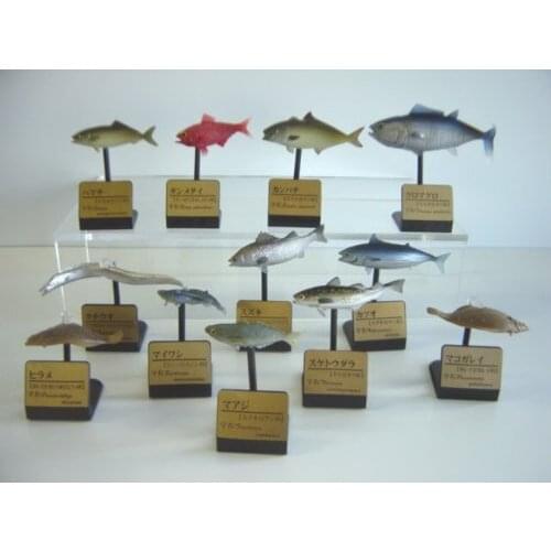 Pvc figure Three-dimensional encyclopedia of the sea fish out of print