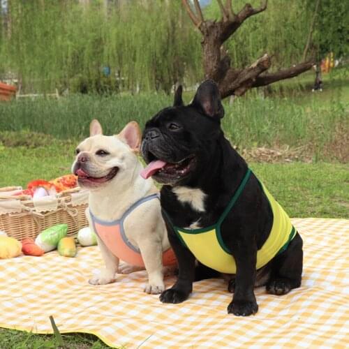 French Bulldog Clothes Summer Pug Dog Clothing Poodle Bichon Schnauzer Frenchies Dog Costume Vest Skirt Dropship Pet Costumes