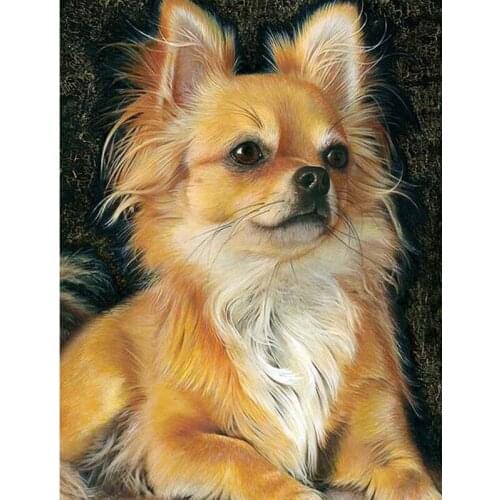 Full Drill Square 5D DIY Diamond Painting chihuahua dog Mosaic Diamond Embroidery Cross Stitch kits rhinestones painting FG1220