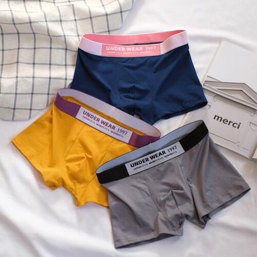 3 Pieces Summer Mens Panties Men Underwear Boxer Shorts Modal Cotton Breathable Soft Mid-waist Solid Color Underpants 2021 New
