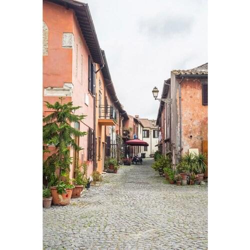 Nostalgia Building Street Potted Photo Backdrop Vinyl Cloth Background for Children Baby Portrait Photobooth Photography Props