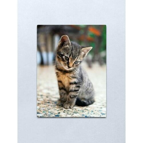 Cool cat Metal Print Tin Sign Vintage Metal Wall Sign Plaque Retro Garage Shed Car