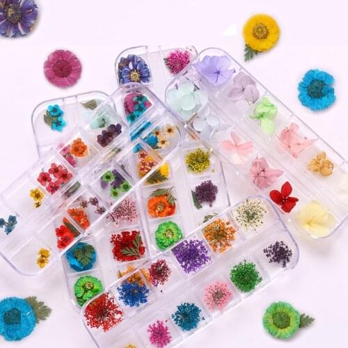 1 Box Daffodil Daisy Real Dried Flower Plant UV Silicone Molds Eternal Preserved Flowers for DIY Epoxy Resin Mold Jewelry Making
