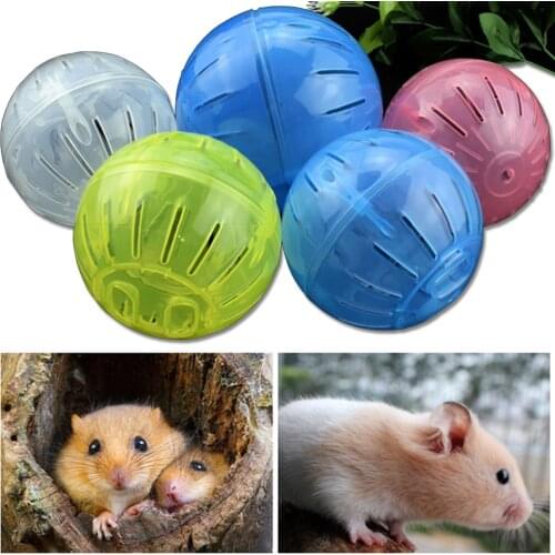 Plastic Small Pet Outdoor Sport Ball Rat Toys Pet Rodent Mice Jogging Ball Toy Hamster Gerbil Rat Exercise Balls Play Toys