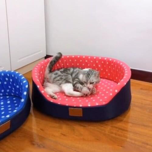 Summer Cat Beds House Soft Best Pet Dog Bed For Dogs Cats Basket Pet Products Cushion Cat Bed Cat Mat Animals Sleeping Sofa