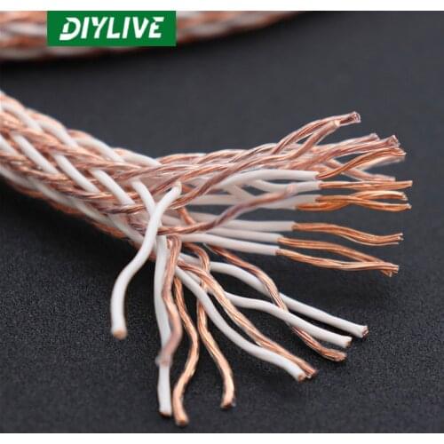 DIYLIVE 12TC 24 8N oxygen free copper fired grade European standard English standard power amplifier speaker cord