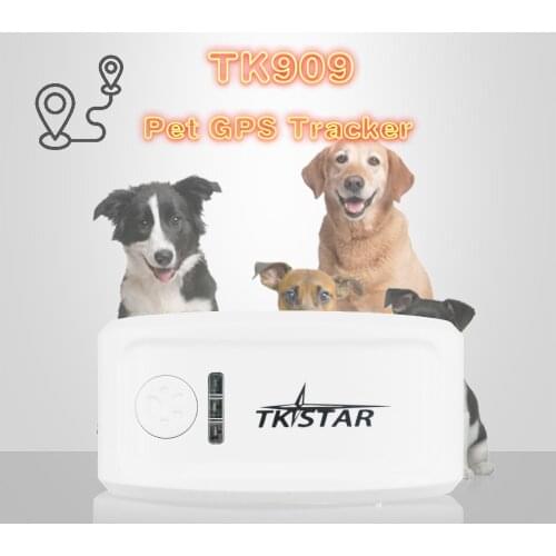 TK909 gps gprs gsm pet tracker dog cat gps collar real-time free tracking software gps tracker dog hunting pet dog GPS tracker