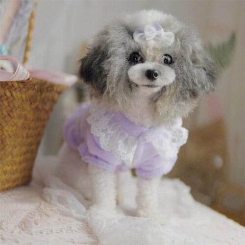 Cute Lace Dog Dress Winter Cat Dog Clothes Chihuahua Yorkshire Pomeranian Pug French Bulldog Clothing Corgi Costume Pet Apparel