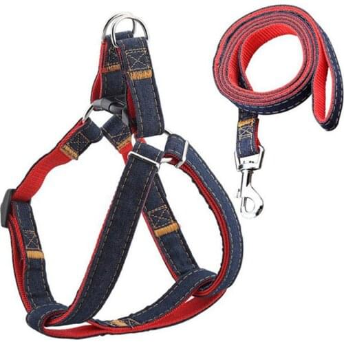 Pecute Collars, Harnesses And Leashes