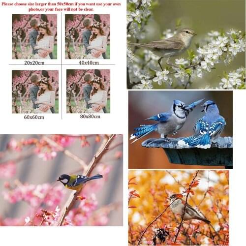 5D Diy Diamond Painting Animal Bluebird Morning Glory Square Diamond Round Diamond Full Diamond Cross Stitc Mosaic Home Decora