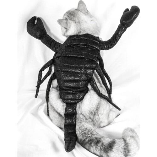 Soft Cosplay Halloween Cat Costumes for Halloween Cat Clothes Soft Cosplay Halloween Cat Costumes for Halloween
