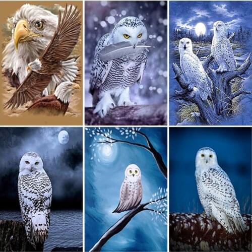DIY Owl 5D Diamond Painting Full Round Drill Animal Diamond Embroidery Mosaic Cross Stitch Rhinestone Wall Art Home Decor