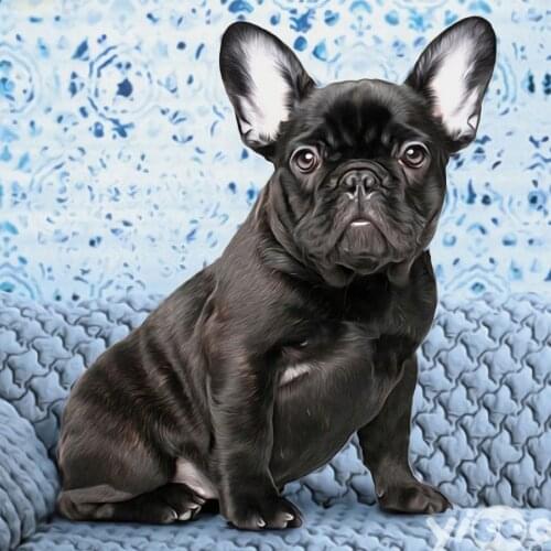 Evershine Diamond Painting Dog Mosaic Rhinestones Art 5D Diamond Embroidery Animals Cross Stitch Sale DIY Handmade Gift