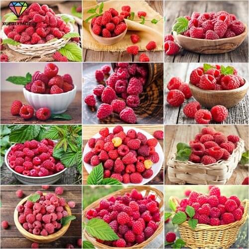 5D Diamond Painting Kits Strawberry Fruit Full Round With AB Drill Diamond Embroidery Picture Rhinestone DIY Cross Stitch Gift