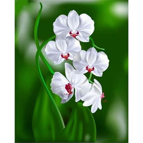 Diamond Embroidery white orchid Christmas gifts DIY Diamond Painting Cross Stitch Picture Rhinestones Full Square Diamond Mosaic