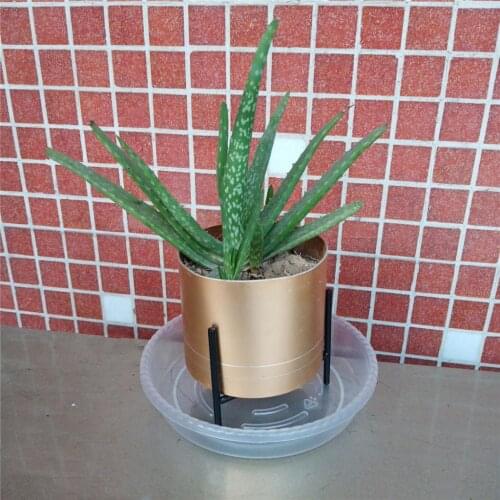 Pack Of 10 Round Water Trays For Transparent Drip Tray For Plants, 15 Cm