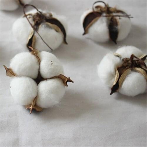10pcs Artificial kapok head natural dried flower cotton wedding home Christmas decoration supplies DIY wreath bouquet gift box