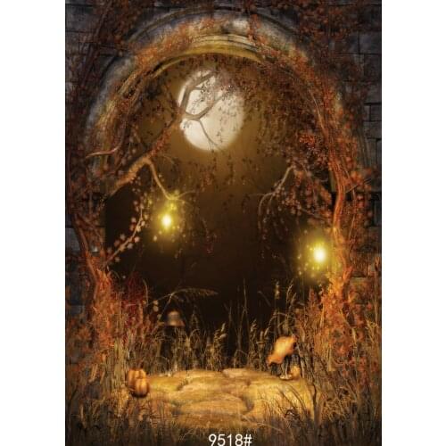 Arch Door Halloween Vinyl Studio Backdrop Computer Printed Photography Prop Photo Background for Kids Party Photo Shooting