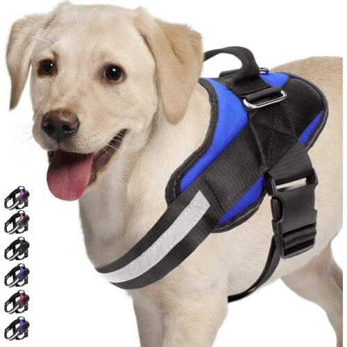 HOMIE PAW Harnesses