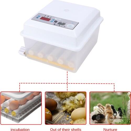 Home Zoo Animal Feeding Center Chicken Incubator Automatic Household Intelligent Incubator Small Egg Incubator Chicken Hatcher