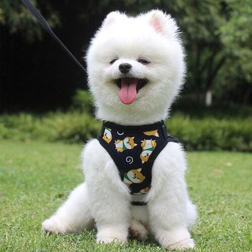 Cartoon Vest Harness for Small Dog Reflective Breathable Pet Dog Harness Vest and Lead Leash Set Poodle Bichon Pug Welsh Corgi
